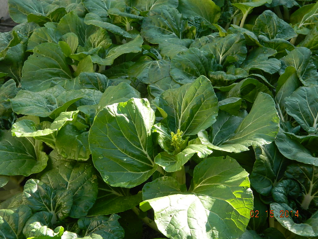 DSCN3670.JPG