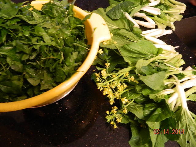 DSCN3650.JPG