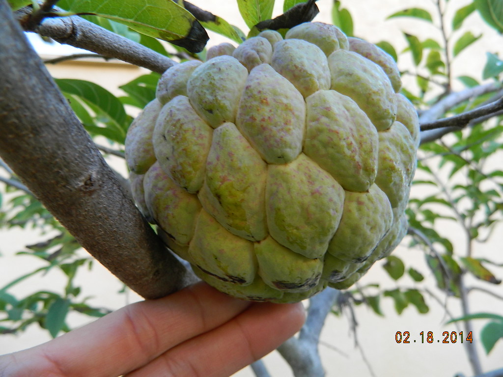 DSCN3703.JPG