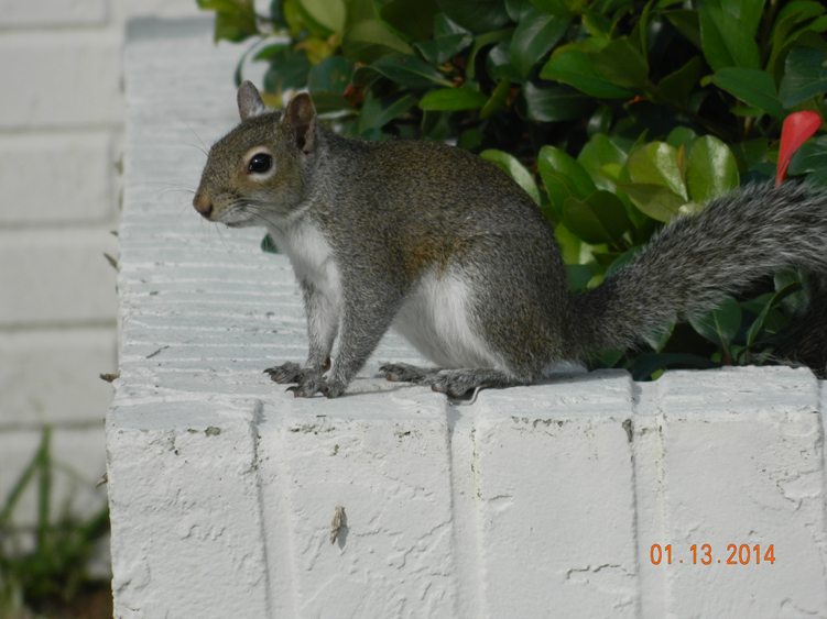 DSCN3508_.jpg