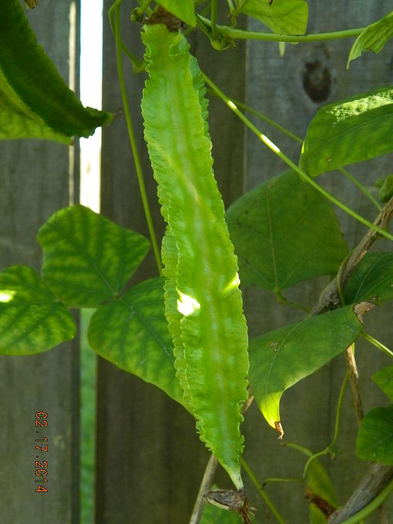 DSCN3691.JPG