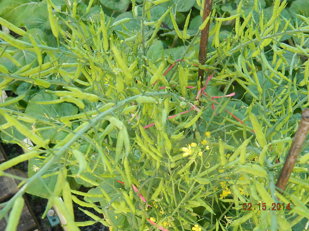 DSCN3673.JPG