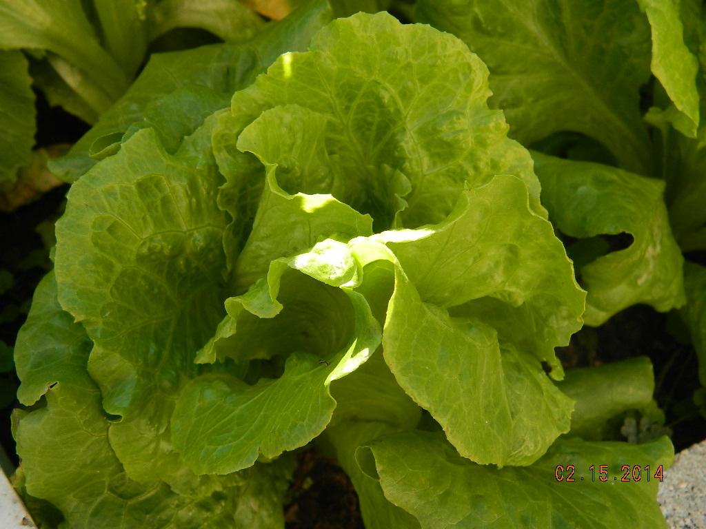 DSCN3674.JPG