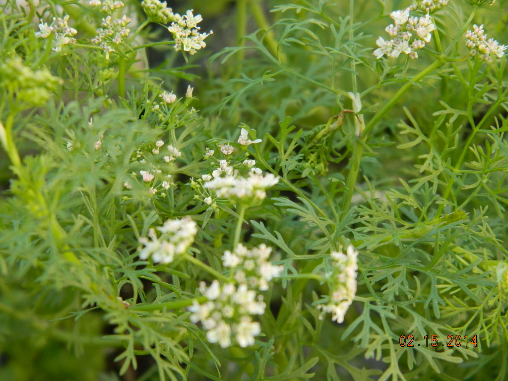 DSCN3667.JPG