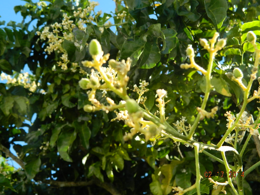 DSCN3683.JPG