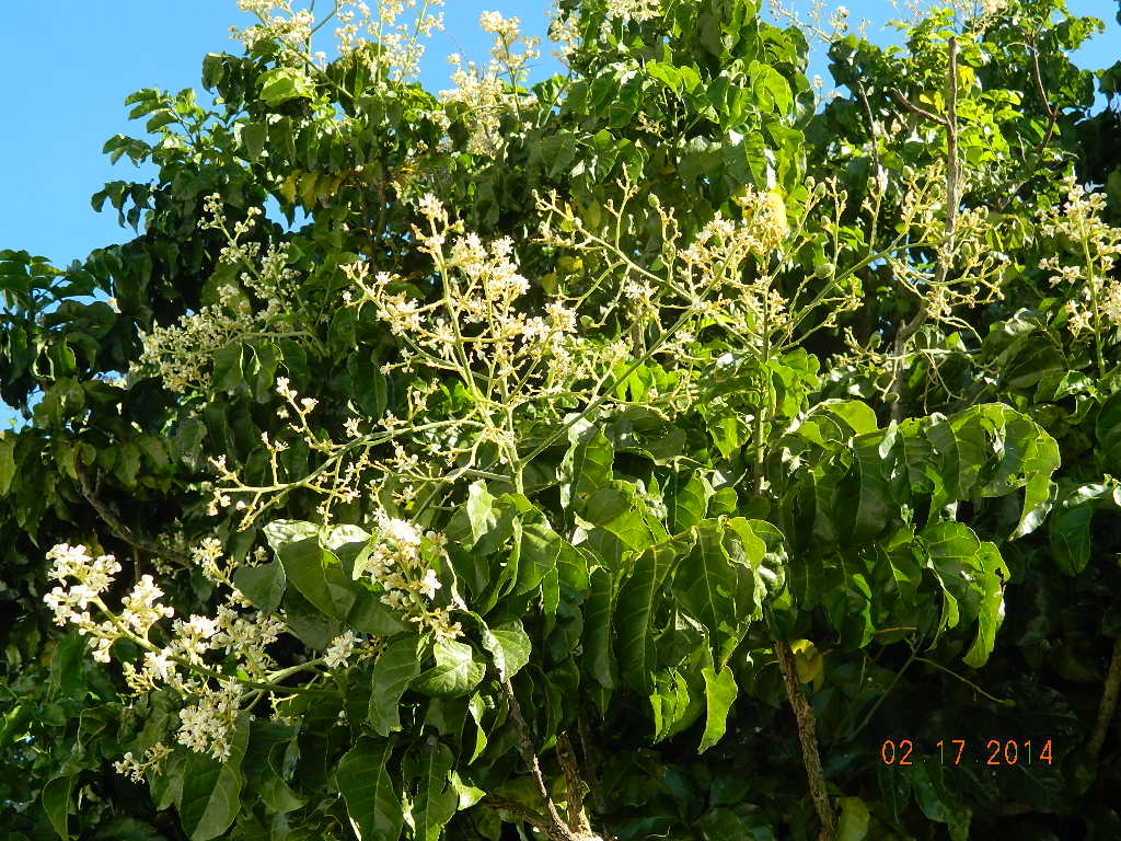 DSCN3686.JPG