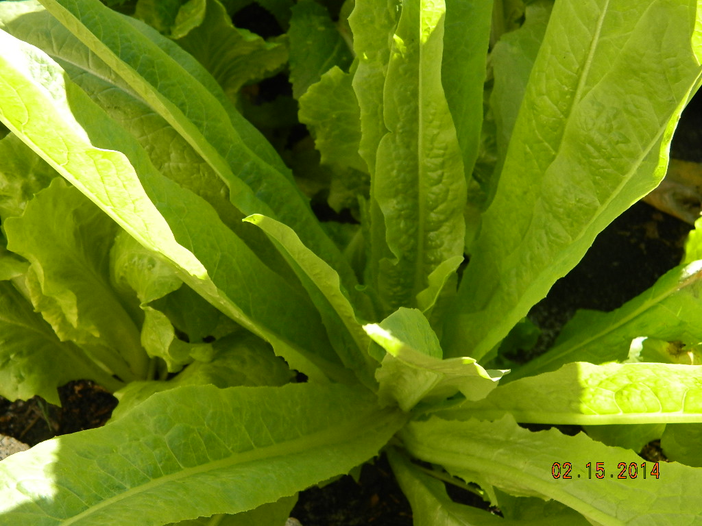 DSCN3669.JPG