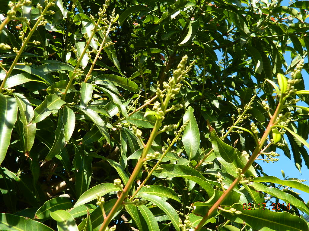 DSCN3696.JPG