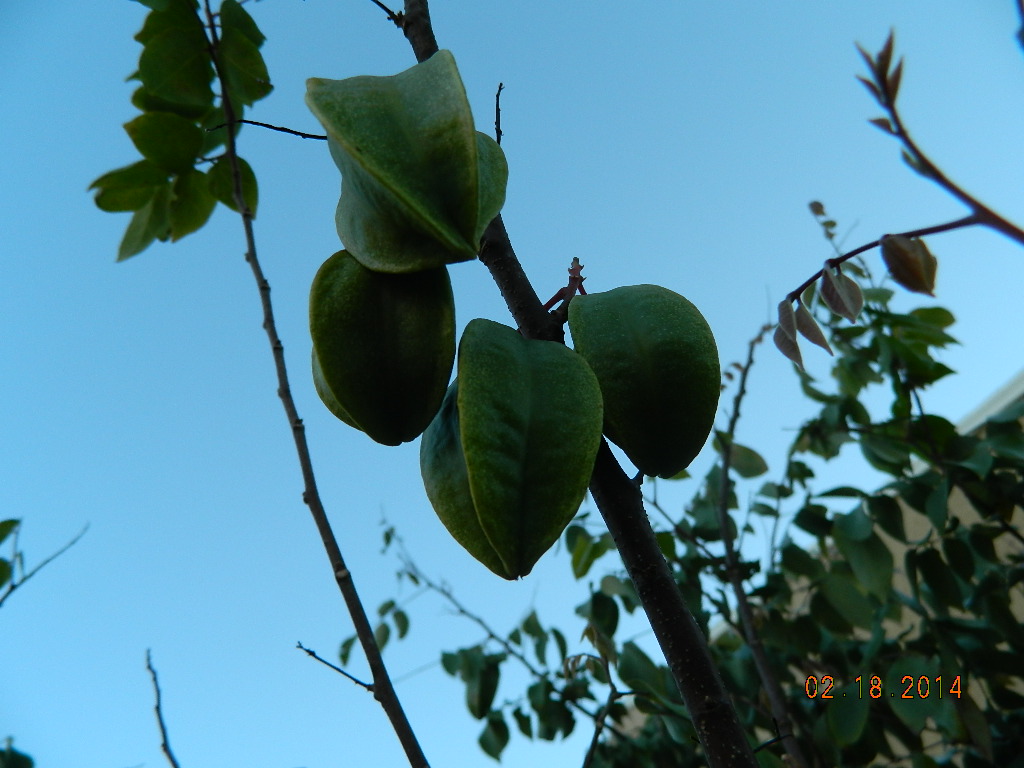 DSCN3707.JPG