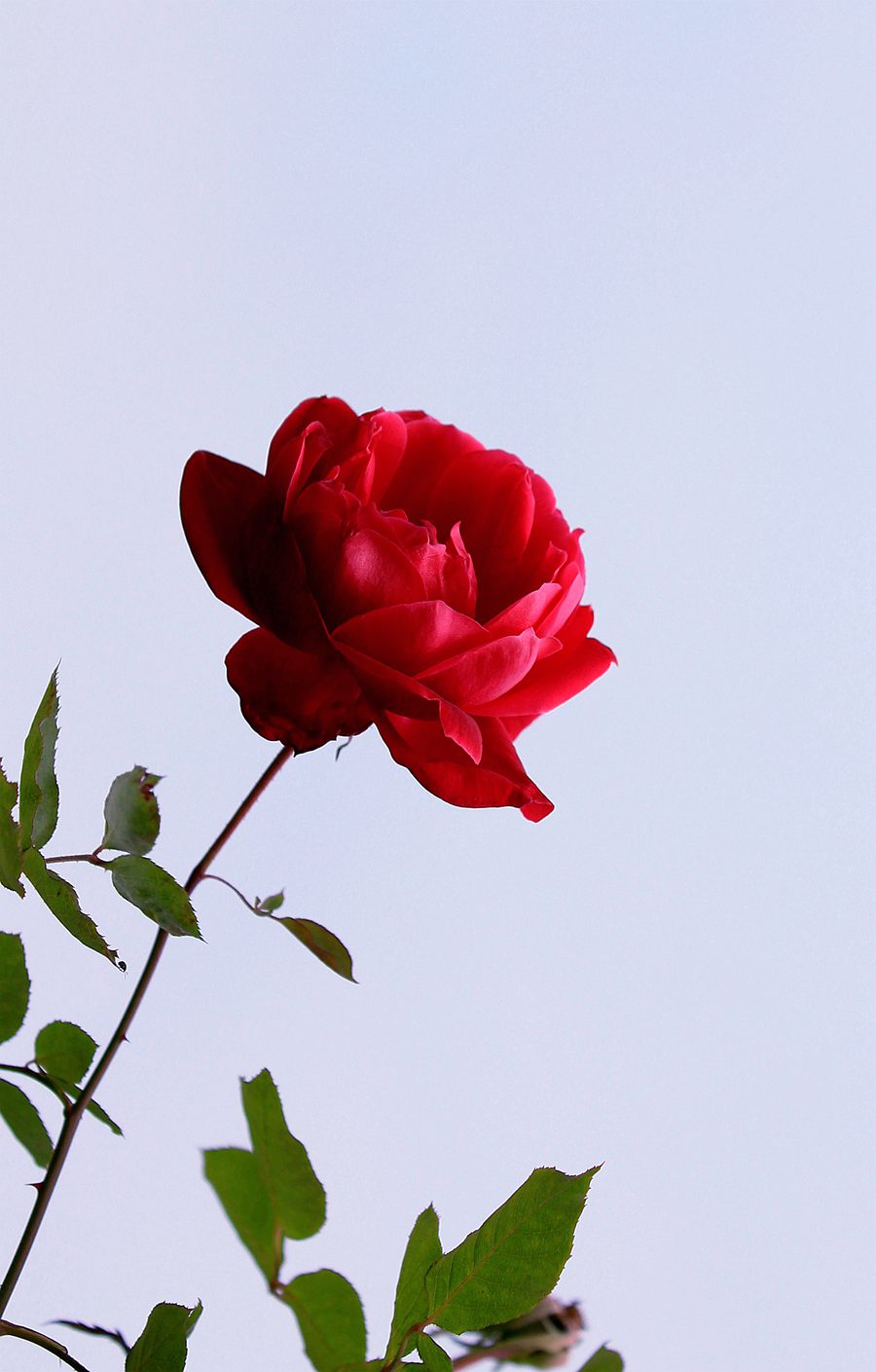 IMG_8124.JPG