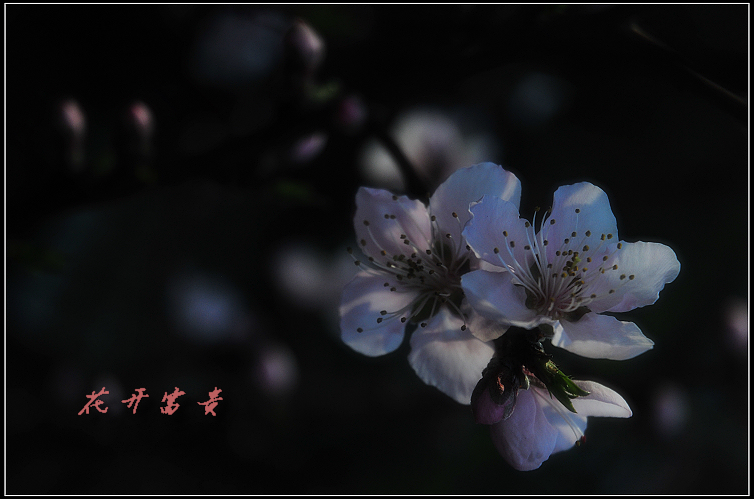 DSC_8577.JPG