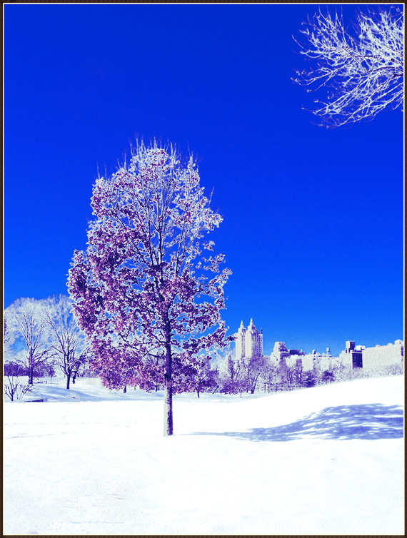 DSCN0203.jpg