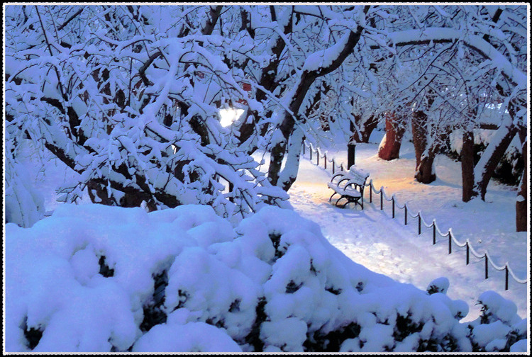 DSCN9978a.jpg