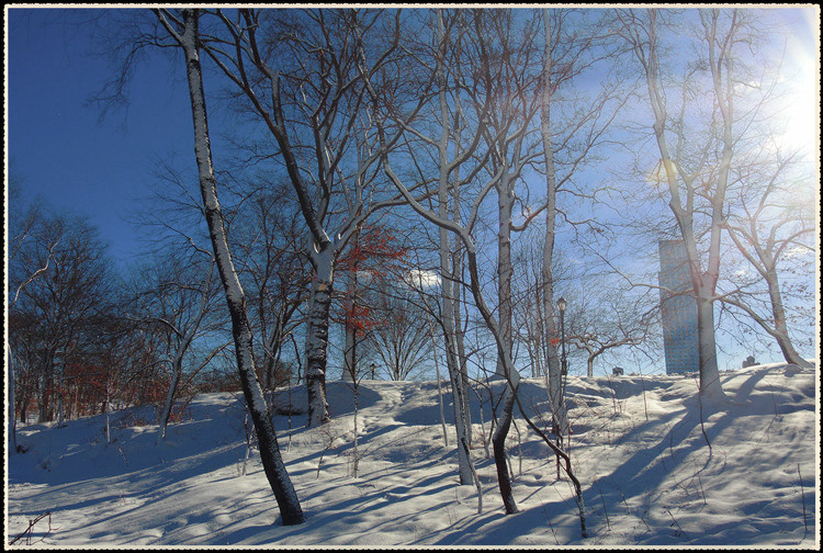 DSCN0117a_����.jpg