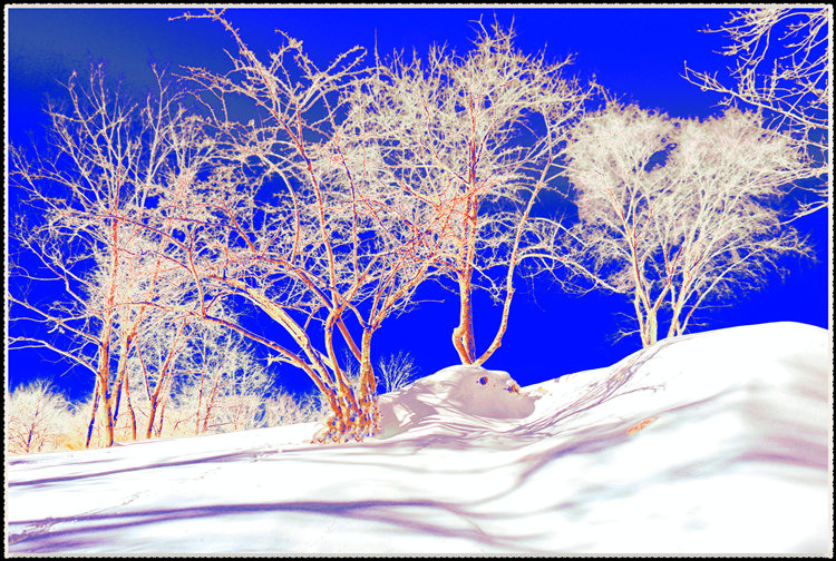 DSCN0209_����.jpg