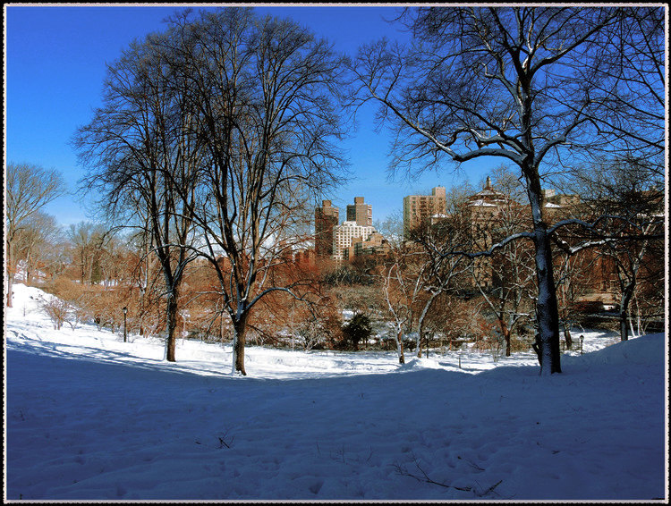 DSCN0217_����.jpg