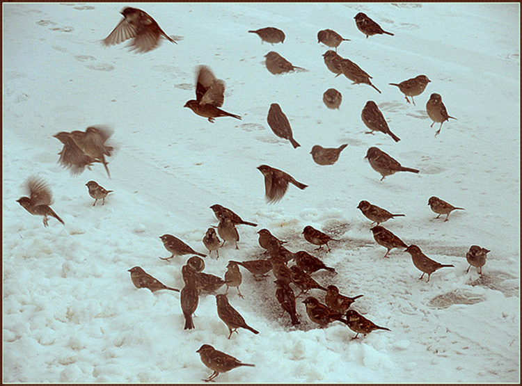 DSCN9892_����.jpg