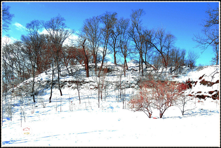 DSCN0079a_����.jpg