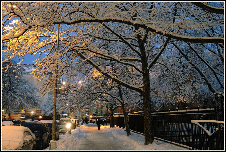 DSCN9959.jpg