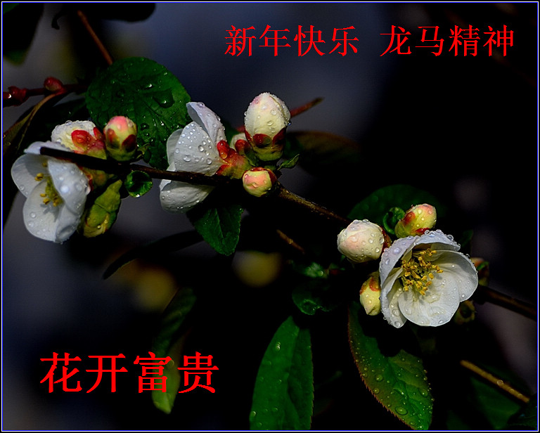 DSC_8962.jpg