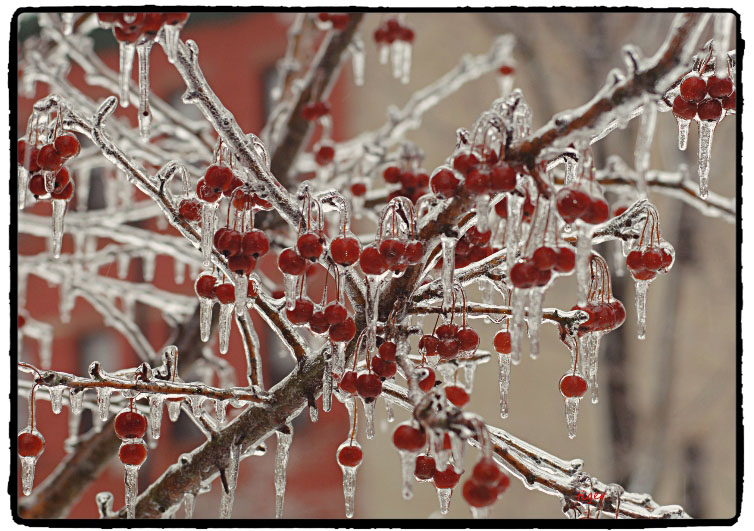 DSC_0050_HZPsenb.jpg