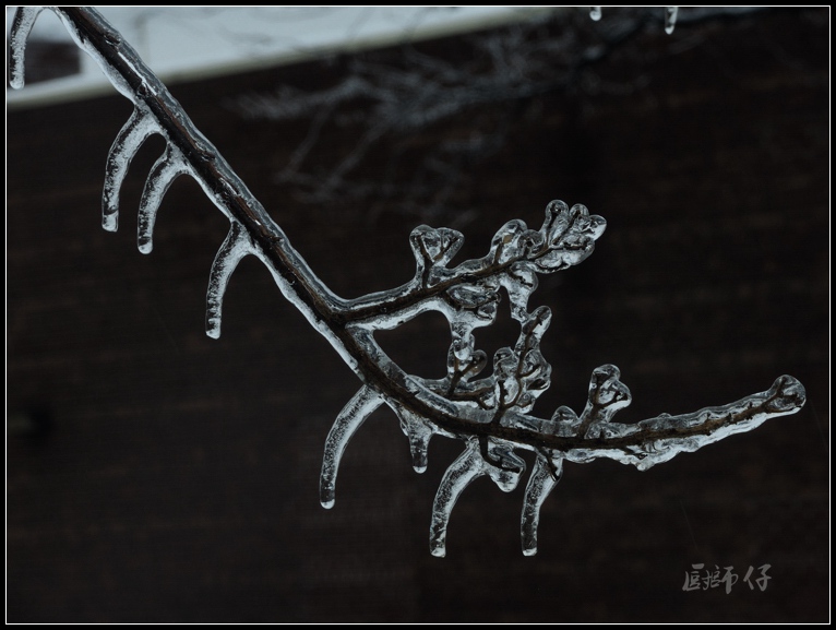 DSCN1151.jpg
