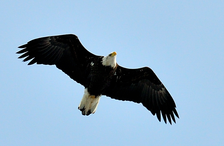 DSC_2063.jpg