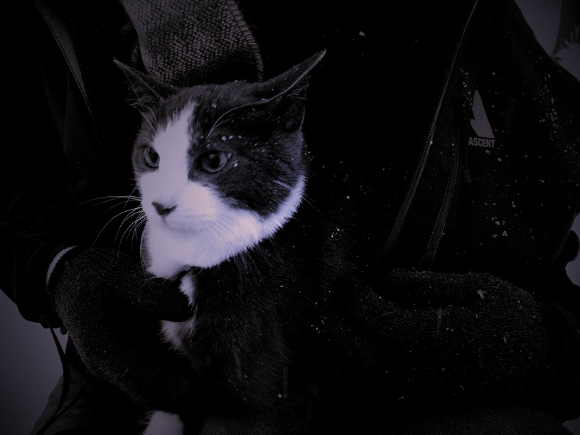 L1240664.JPG