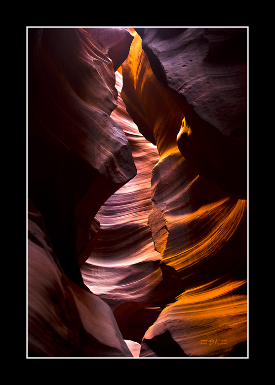 DSC_3122C1.jpg