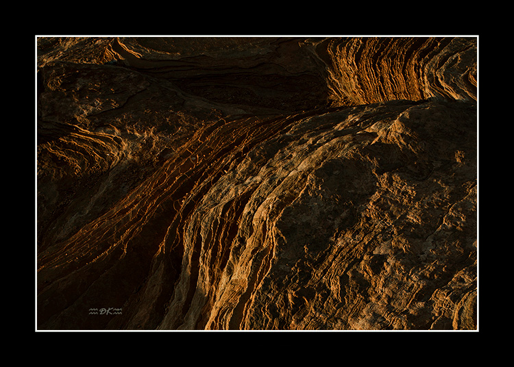 DSC_2846C1.jpg