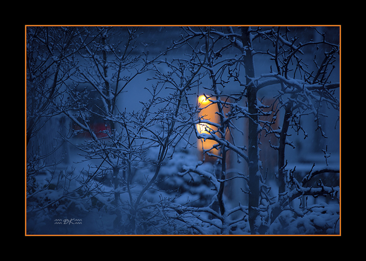 DSC_4700C1.jpg