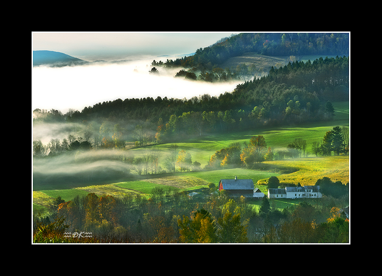 DSC_0436C1.jpg