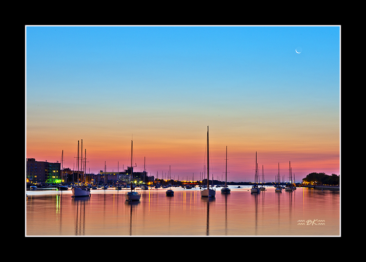 DSC_5306C.jpg