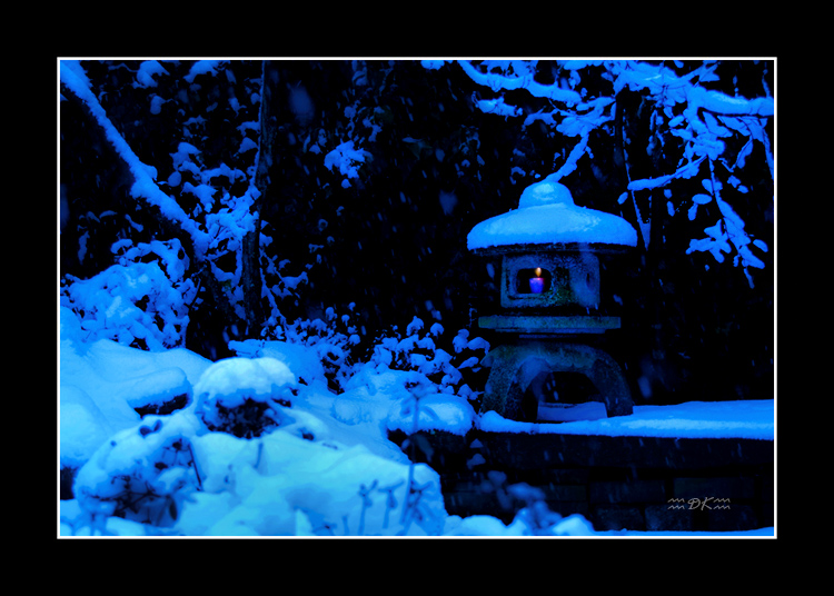 DSC_0193C1.jpg