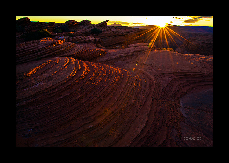 DSC_2852C1.jpg