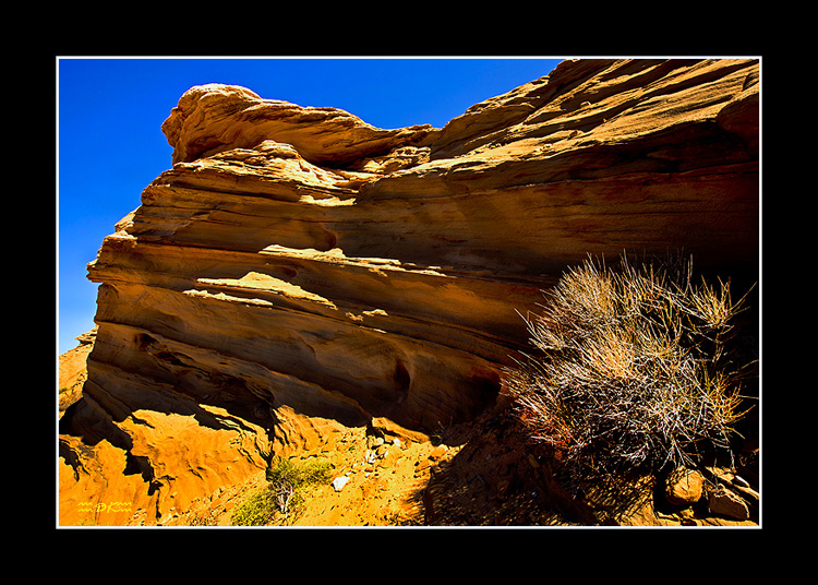 DSC_2970C1.jpg