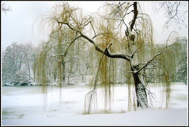 DSCN9869a.jpg