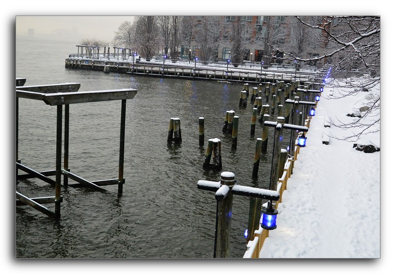 DSC_1316.jpg