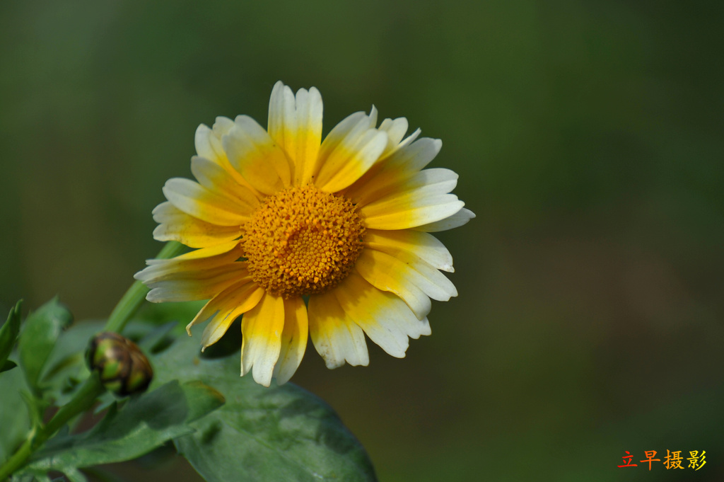 DSC_2362.JPG