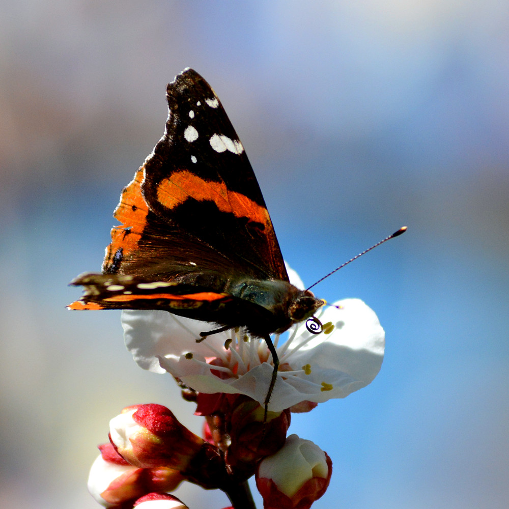 DSC_0812_7.jpg