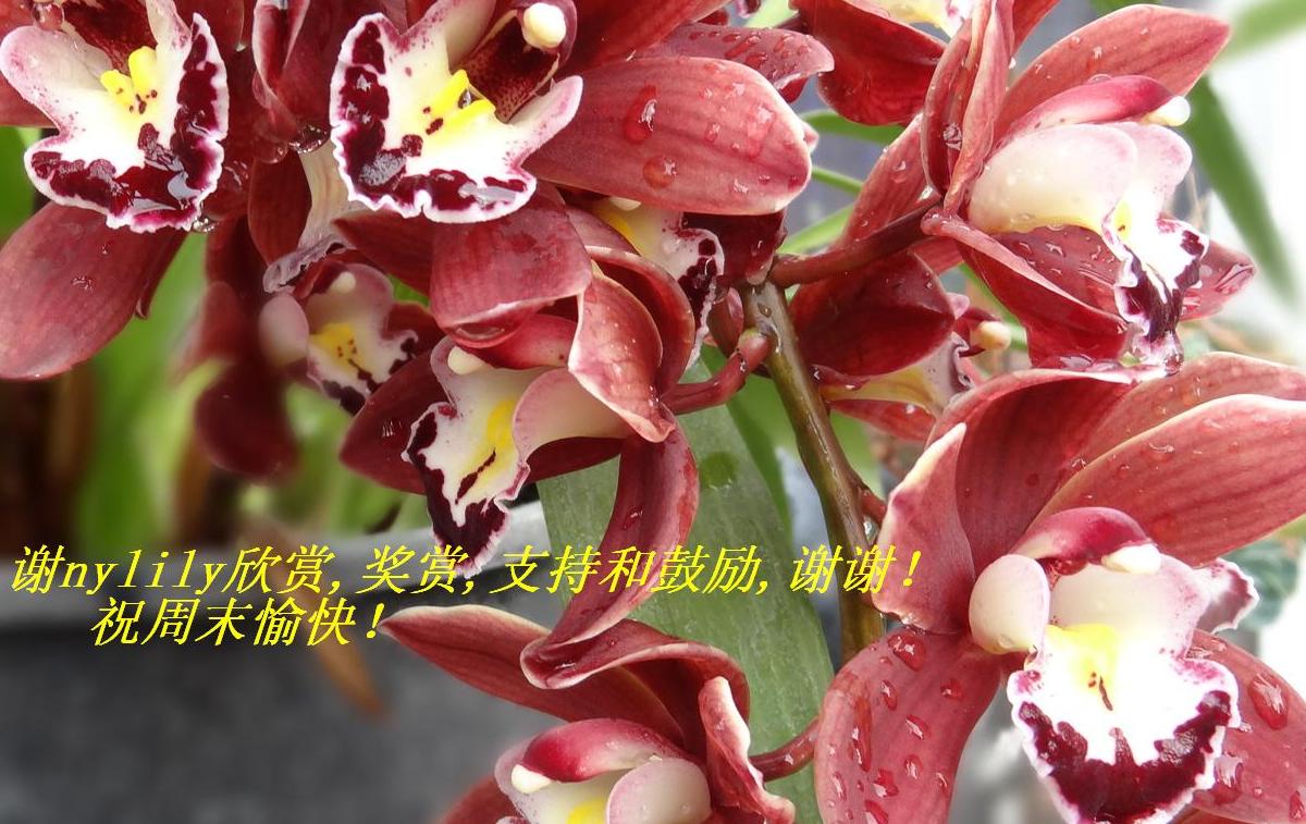 лnylilyֺ֧ͣͣ͹ллףĩ죡.JPG