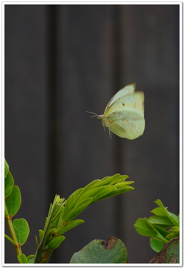 DSC_0641.jpg