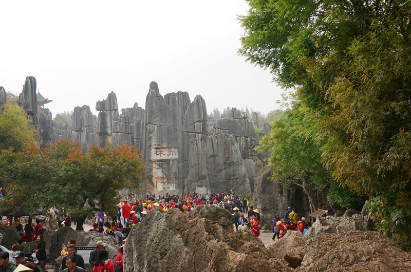 DSC03347_.jpg
