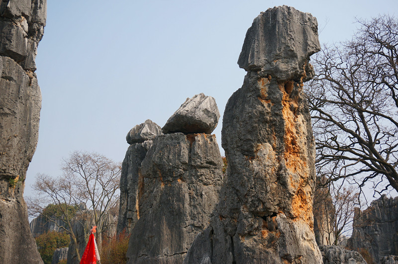 DSC03387_.jpg