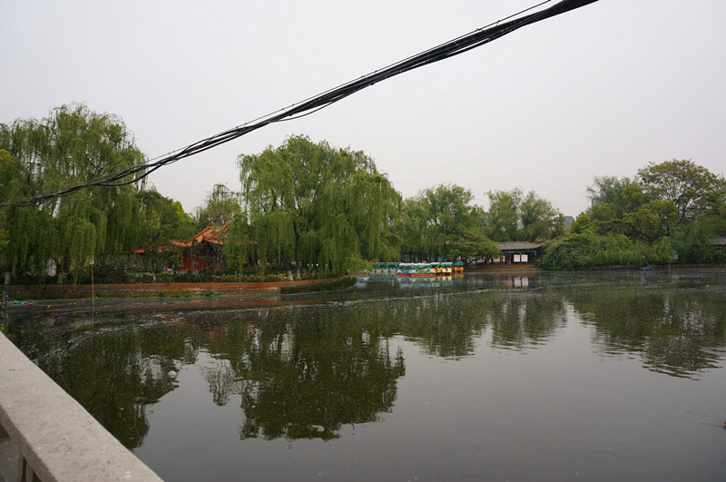 DSC03313_.jpg