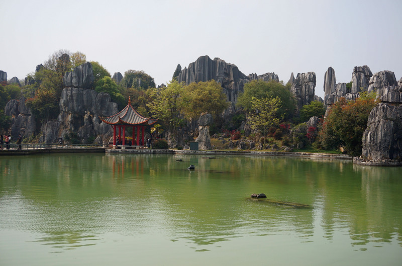 DSC03384_.jpg