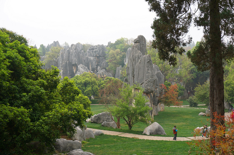 DSC03342_.jpg