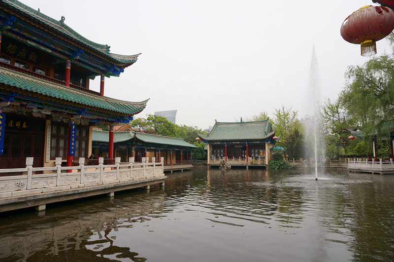 DSC03319_.jpg
