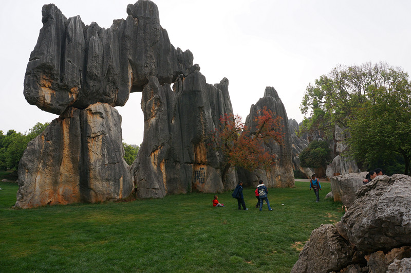 DSC03345_.jpg