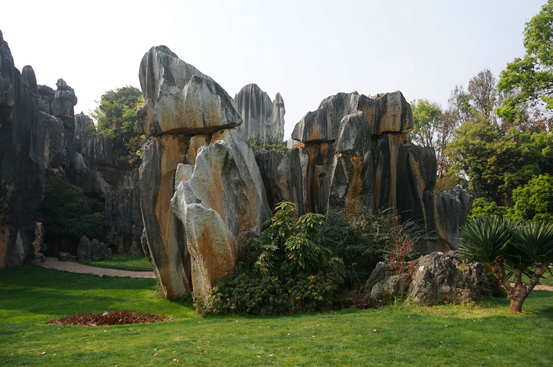 DSC03375_.jpg
